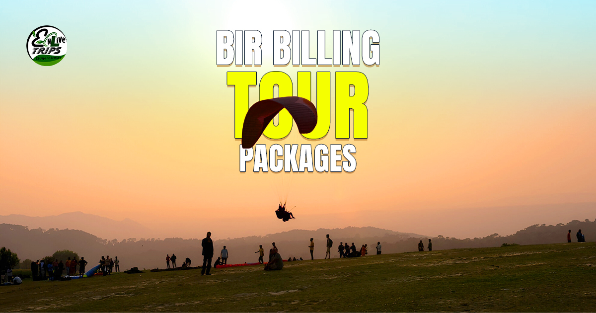 Best Time to Visit Bir Billing- A Complete Travel Guide